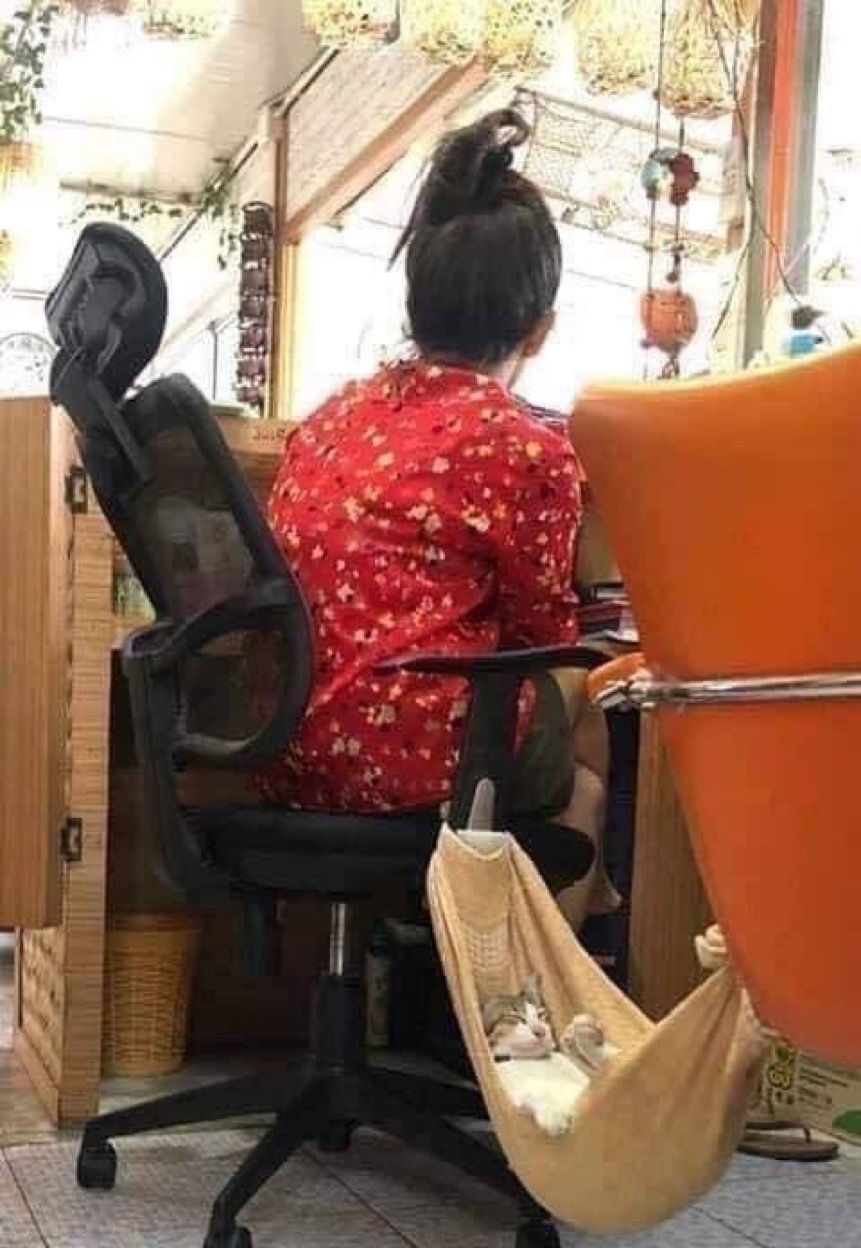 토요일의 고양이를 좋아하세요? | 인스티즈