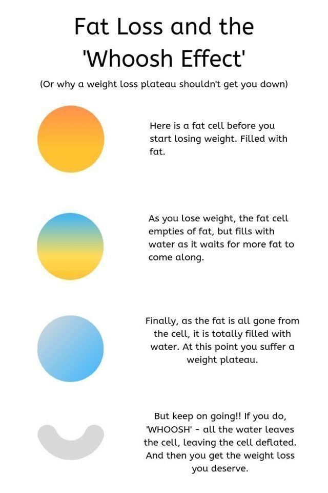 다이어트 하는데 몸무게가 오히려 늘어 | 인스티즈