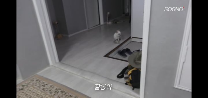 06704da00dbc32368a292f94110c12663bd4bf49