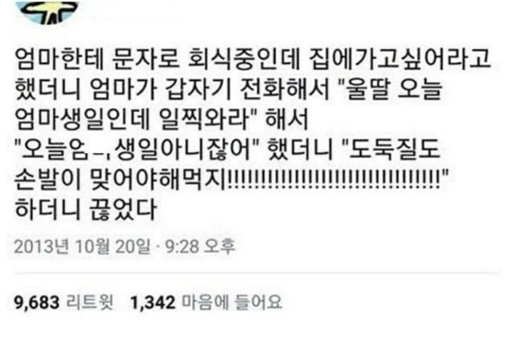 이 중에 하나는 여시들 배꼽이 빠지게 웃겨주겠지? 하나만 걸려라 1탄 | 인스티즈