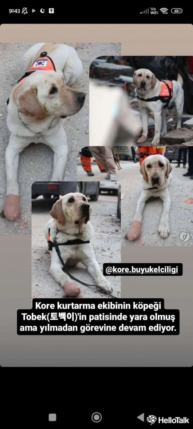 튀르키예 방송에 나온 한국구조대와 반응 | 인스티즈