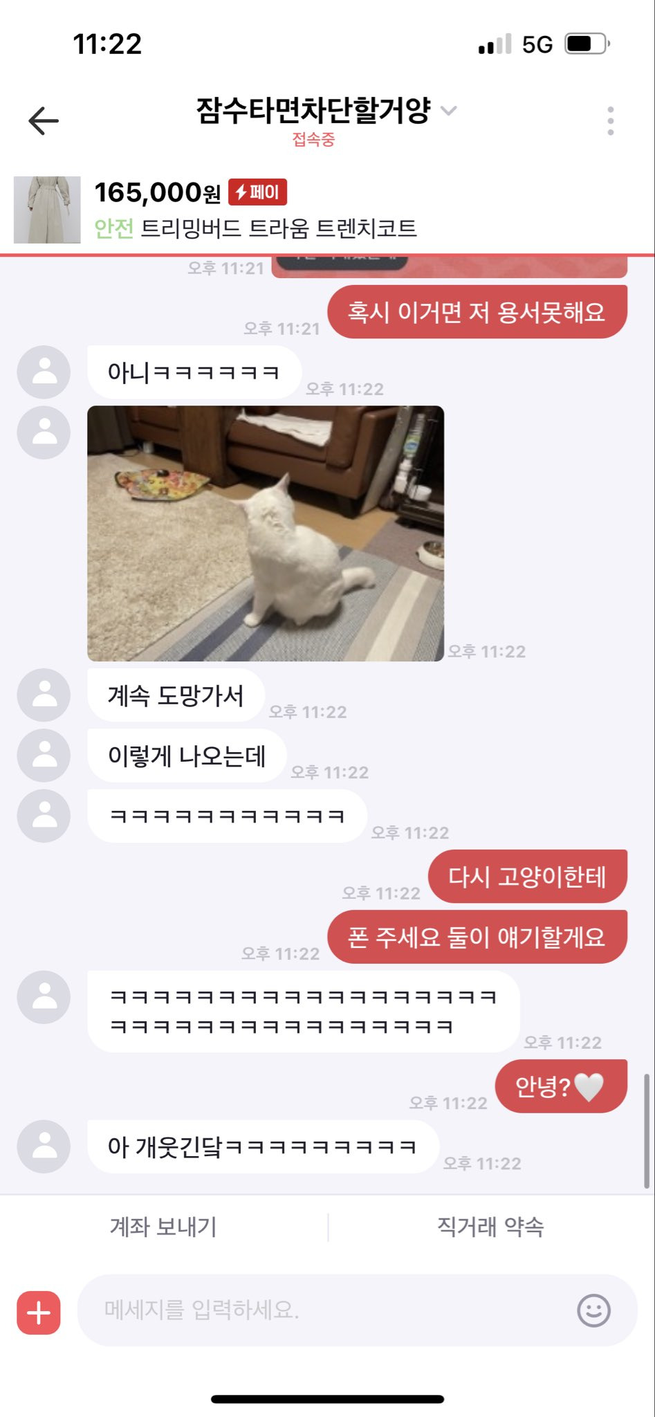 중고거래 구매자가 자꾸 이모티콘을 보내서 무서웠는데 알고 보니 고양이였음.twt (귀여우니까 보고 힐링해) | 인스티즈