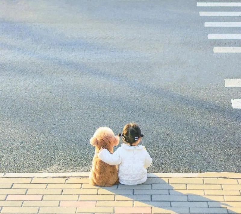 딸 키우는 집에서 강아지를 키우면 생기는 일 | 인스티즈