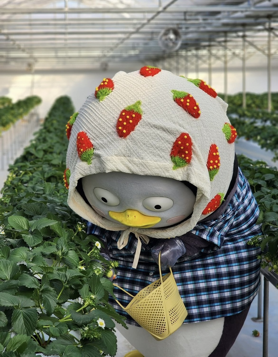 왕 펭수 머리크기 | 인스티즈