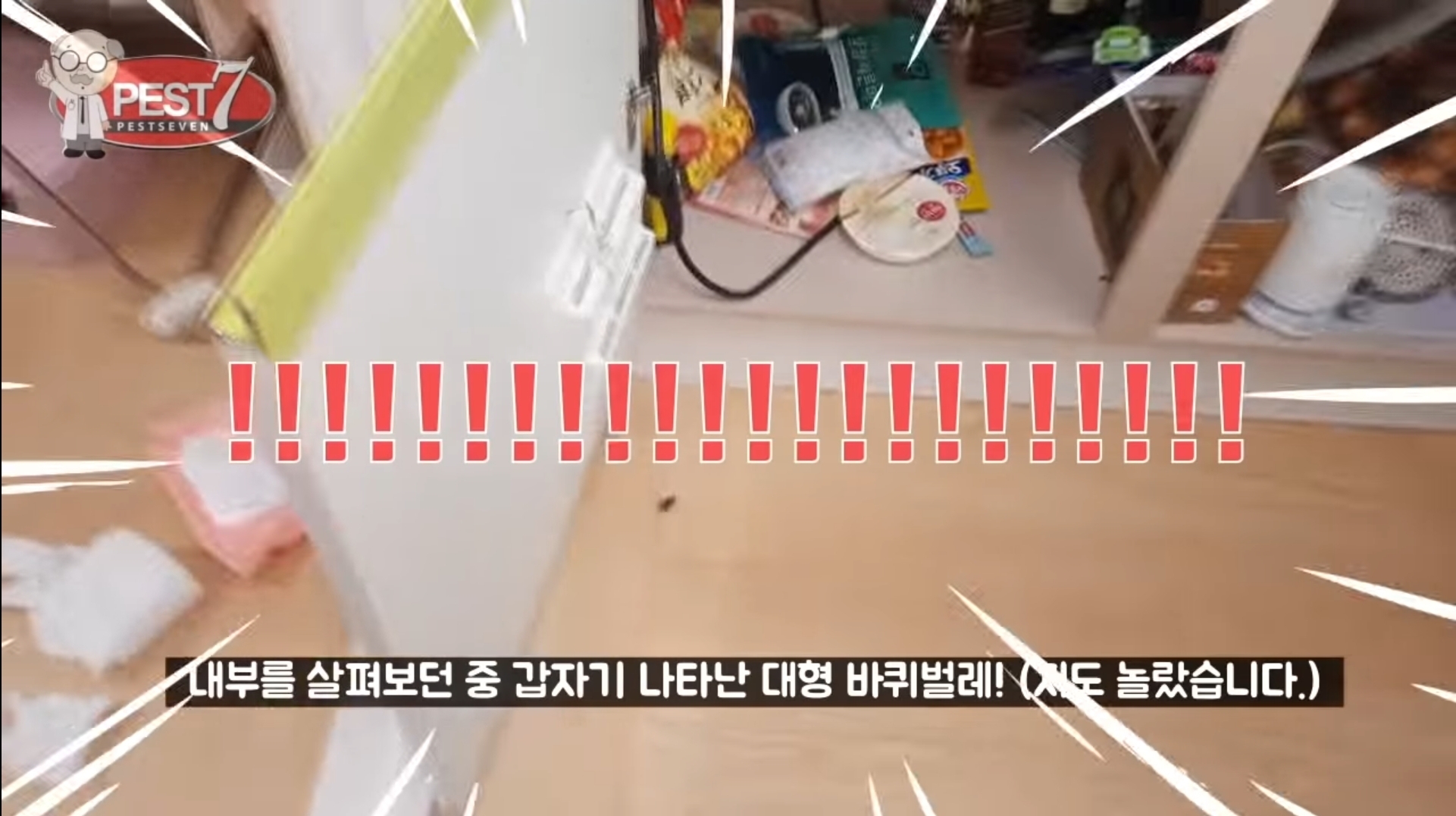 원룸 바퀴벌레 주요 유입구(벌레사진주의) | 인스티즈