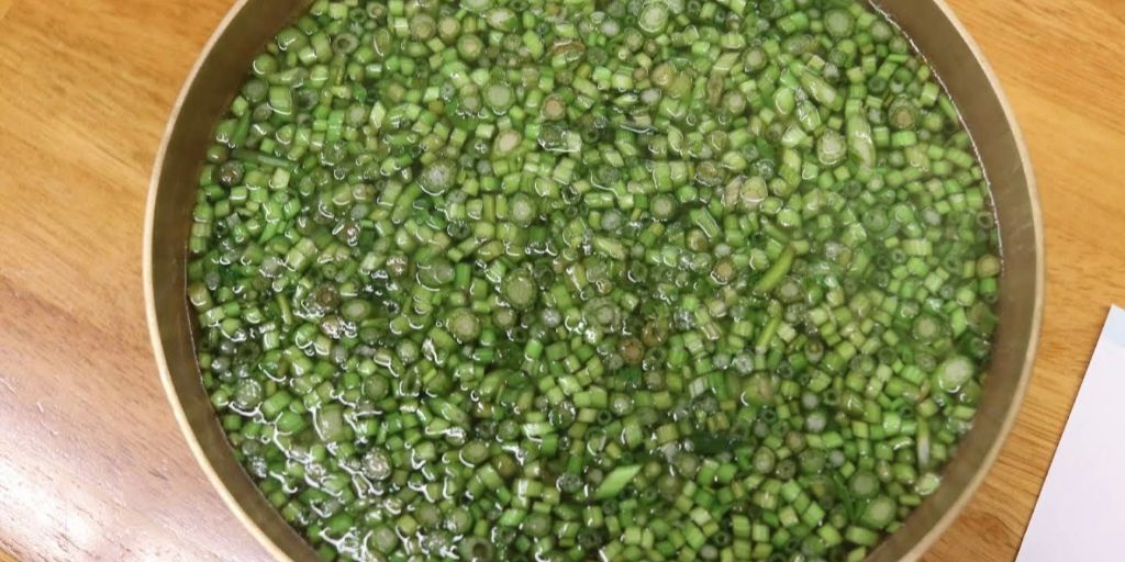 서울 능동미나리 | 인스티즈