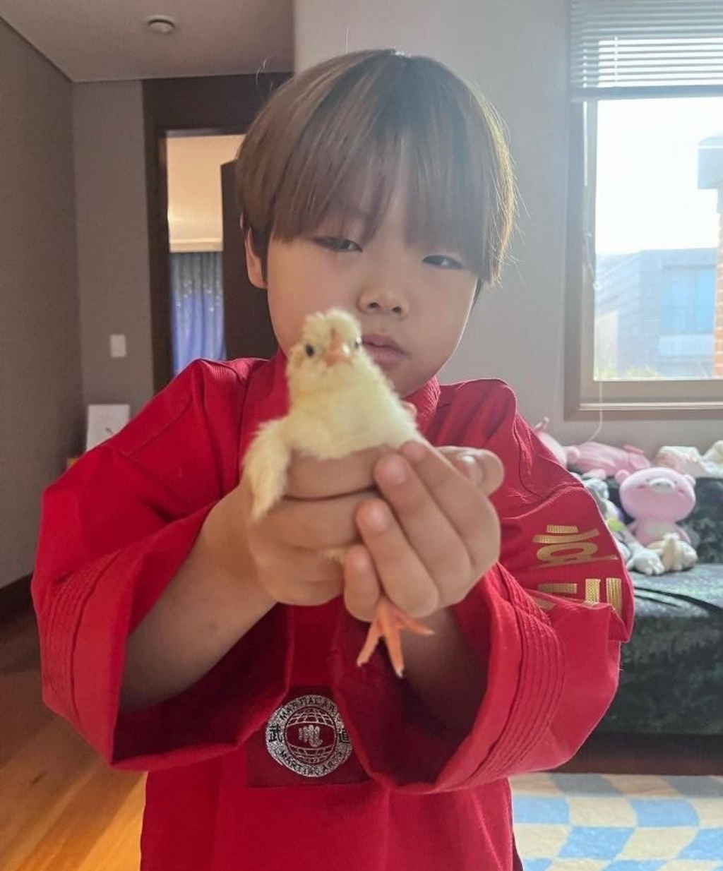 진짜 골때리는 거같은 홍영기 아들 재원이 | 인스티즈