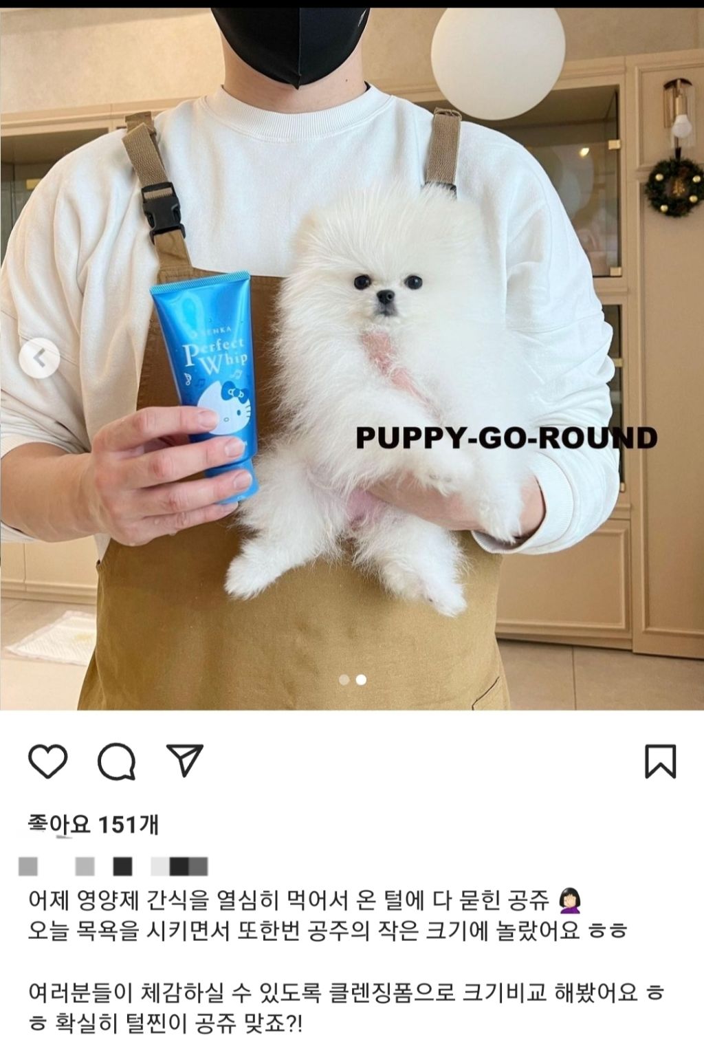 강아지가 클랜징폼만큼 작다는 시아준수형과 펫샵 입양값까지 적어놓고 파양하는 시아준수... 작다는 시아준수형과 펫샵 입양값까지 적어놓고... 