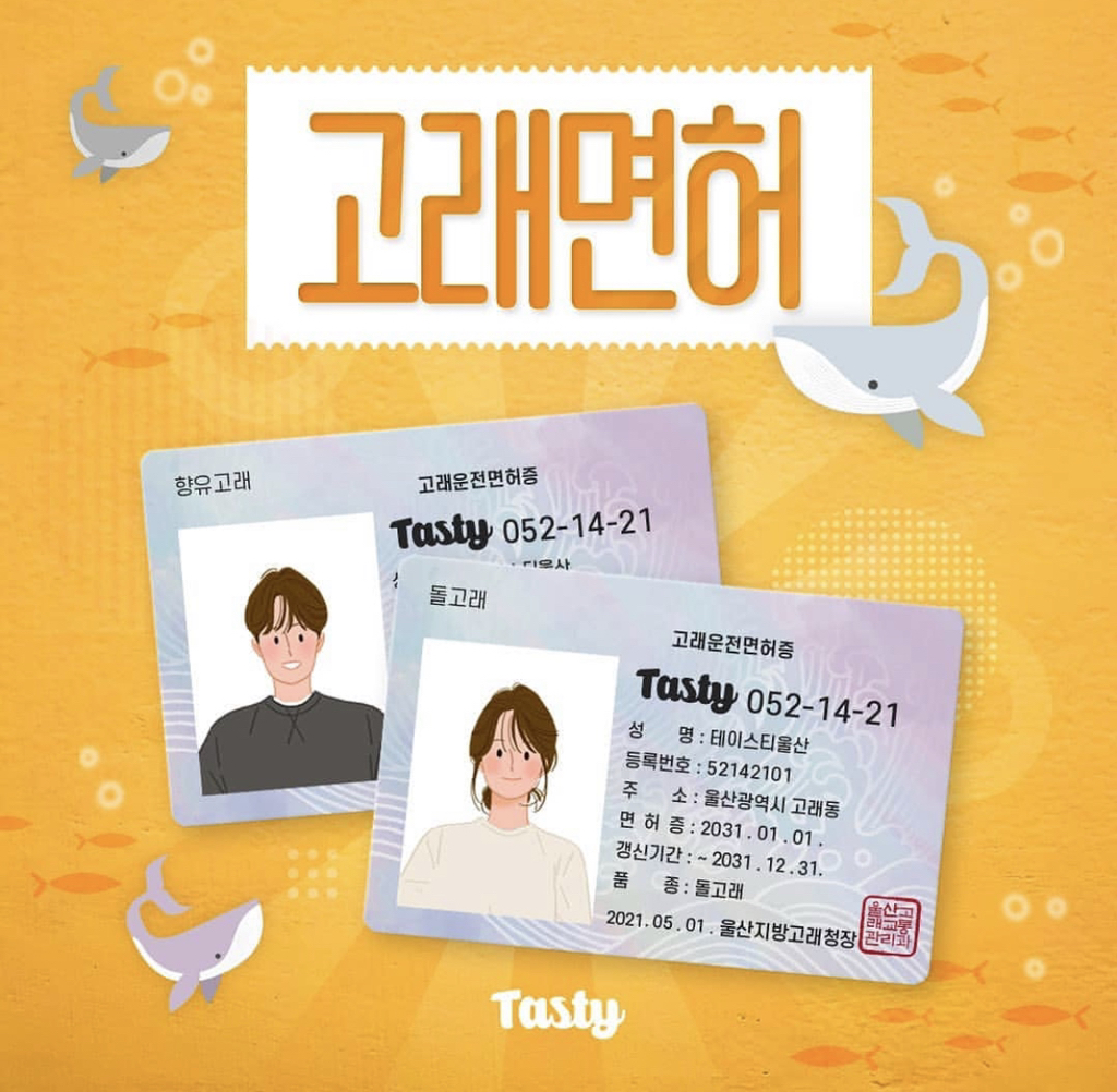 노잼도시 탈출을 위한 울산 고래운전면허증.jpg | 인스티즈