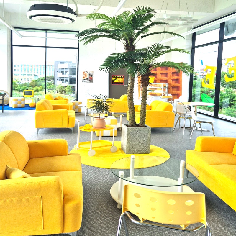 광주광역시에 오픈했다는 4층짜리 와플대학 캠퍼스 | 인스티즈