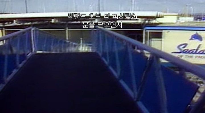 어느날 소방서에 고래가 조련사를 잡아 먹었다는 신고가 들어왔다 .jpg (스압주의) | 인스티즈