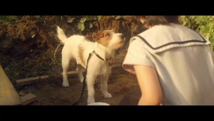 영화 "개를 훔치는 완벽한 방법" | 인스티즈