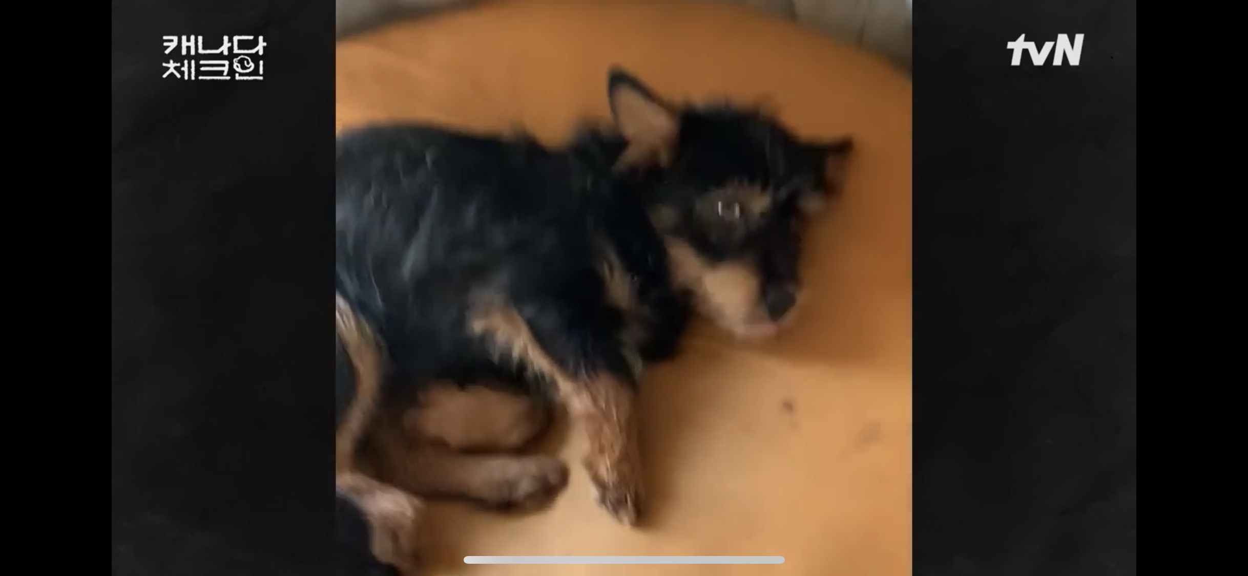 초조하게 누군가를 기다리는 이효리 | 인스티즈