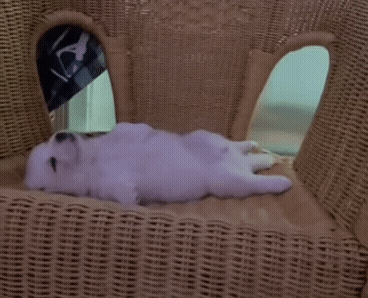 07df4a6c30df4ee1cdc23109835d1d4bc1d45b99