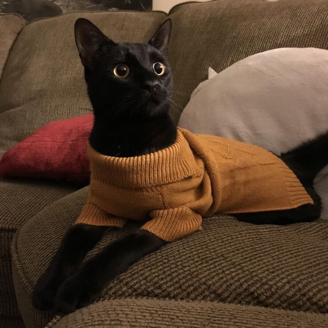 요정 : 데스노트에 남자 이름 적을 때 마다 1000만원줄게 할래? | 인스티즈