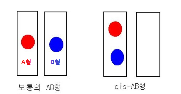 전세계적으로 한국이랑 일본에만 존재하는 희귀 혈액형 | 인스티즈