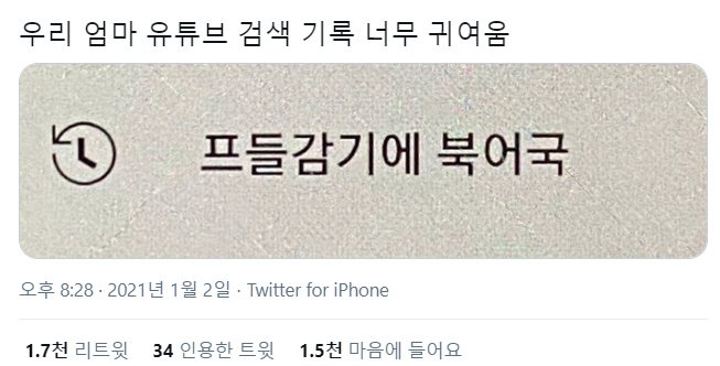 갤러리 짤털 짤털 짤털 짤털 짤털 짬털 (100장 깍 채움) | 인스티즈