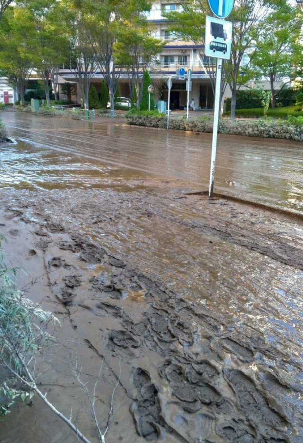 하수구 역류하면 한국과 다르게 일본 길거리만 유독 똥범벅이 되는 이유 | 인스티즈
