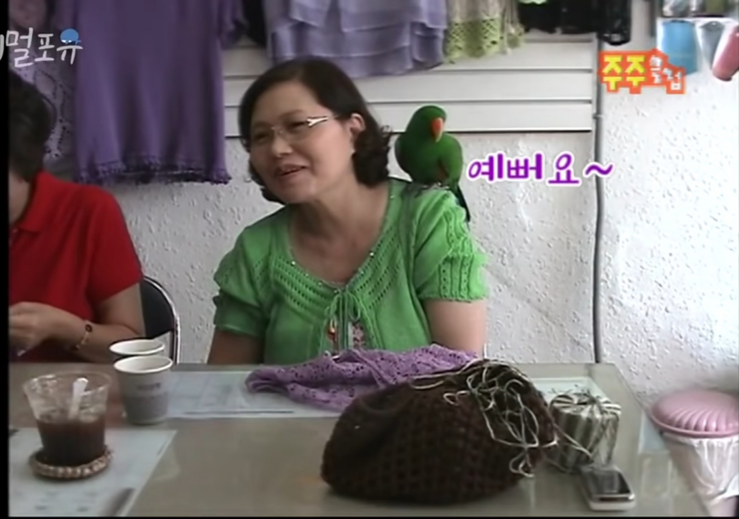 남자는 싫어하는 앵무새 제리.jpg | 인스티즈