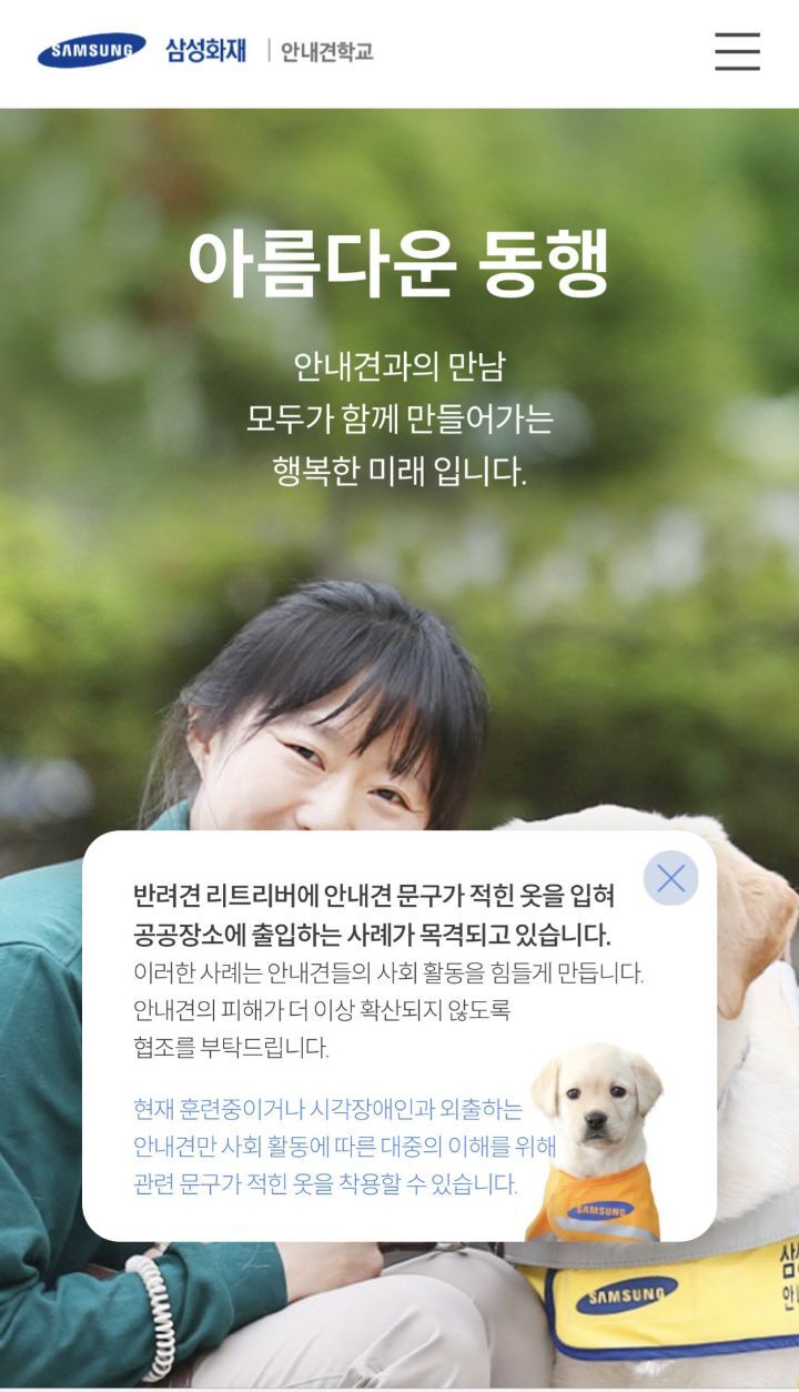 반려견 리트리버에게 안내견 문구가 적힌 옷을 입히는 사례가 목격되고 있습니다 | 인스티즈