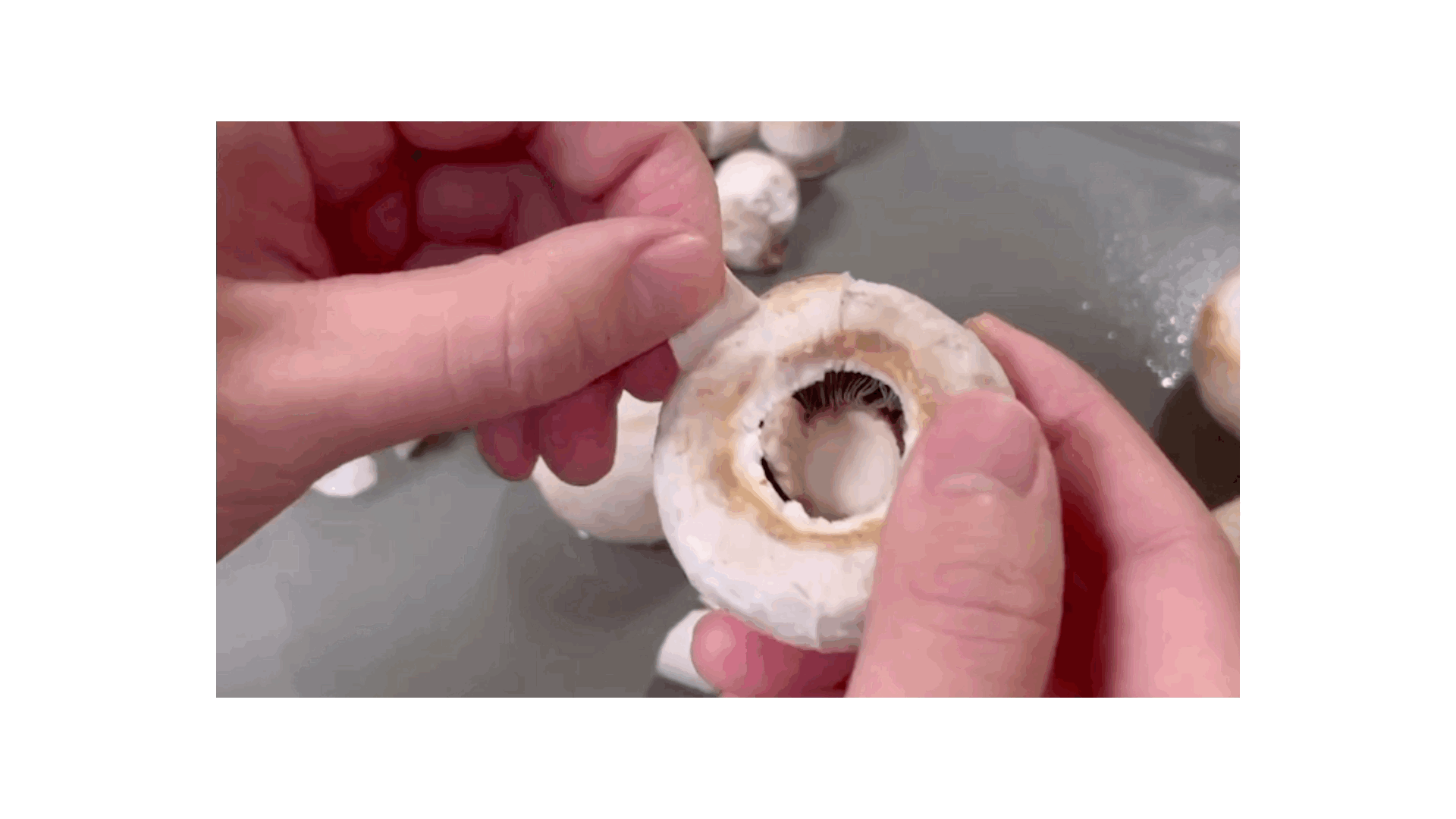 나 포함 일부 여시들이 처음 안 사실 | 인스티즈