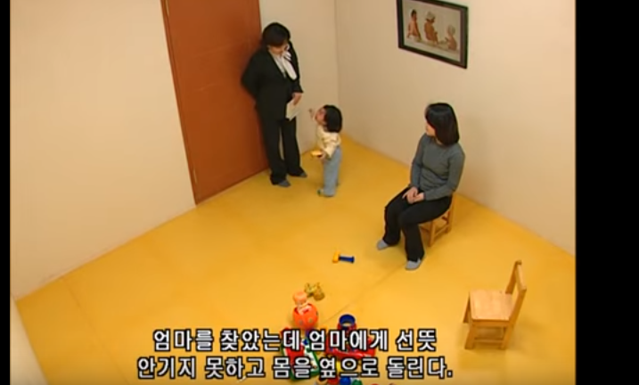 유아기에 형성되어 그 후 대인관계의 원형이 되는 부모와의 애착관계(안전,회피,혼란) | 인스티즈