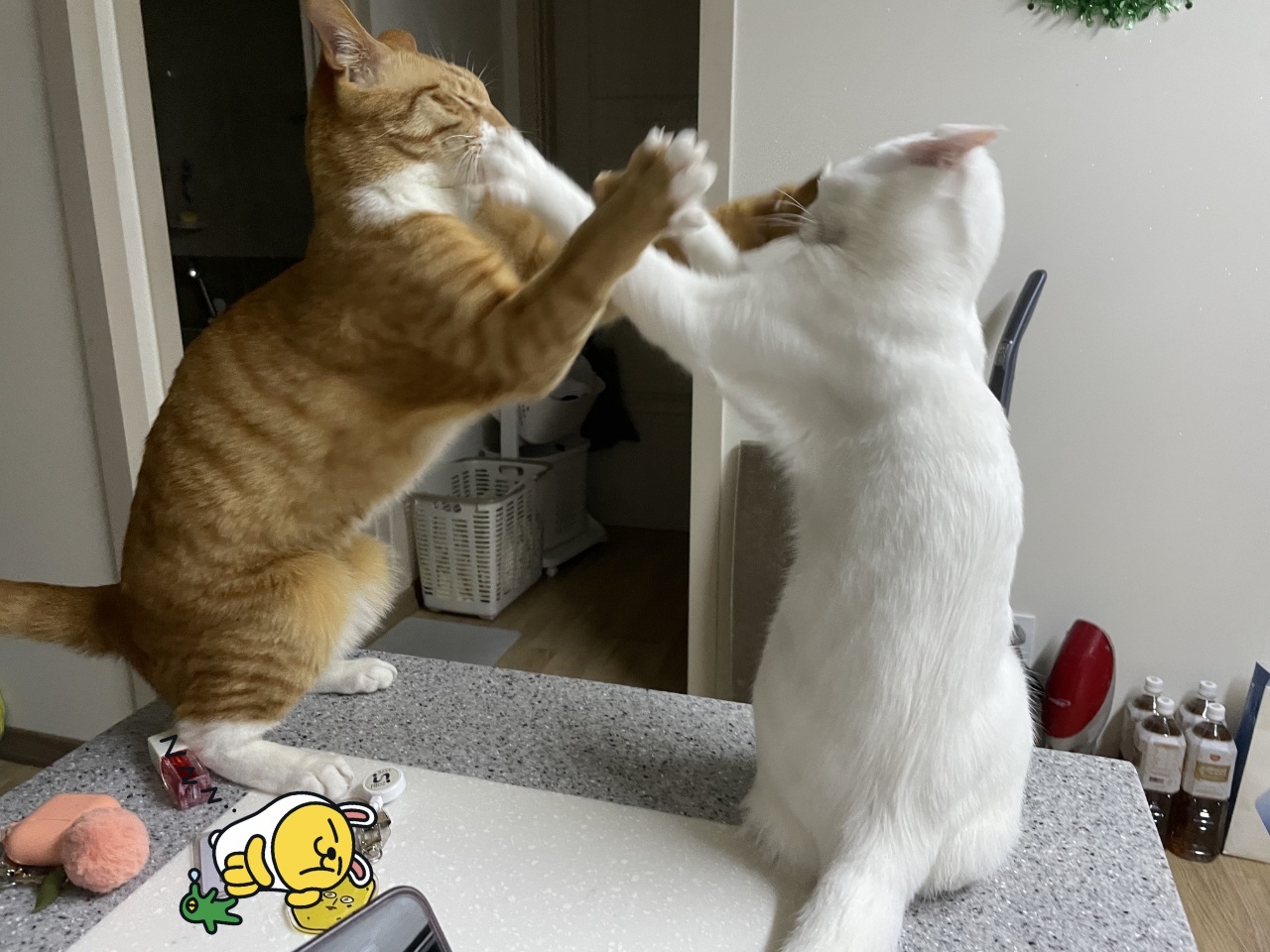 가... | 인스티즈