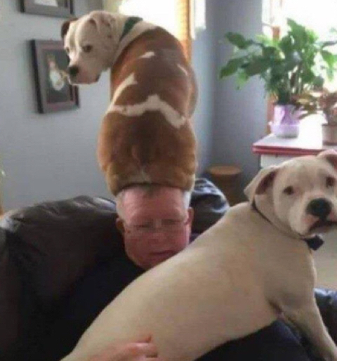 인스타 부계에 힘들때마다 올린짤 모음Zip | 인스티즈