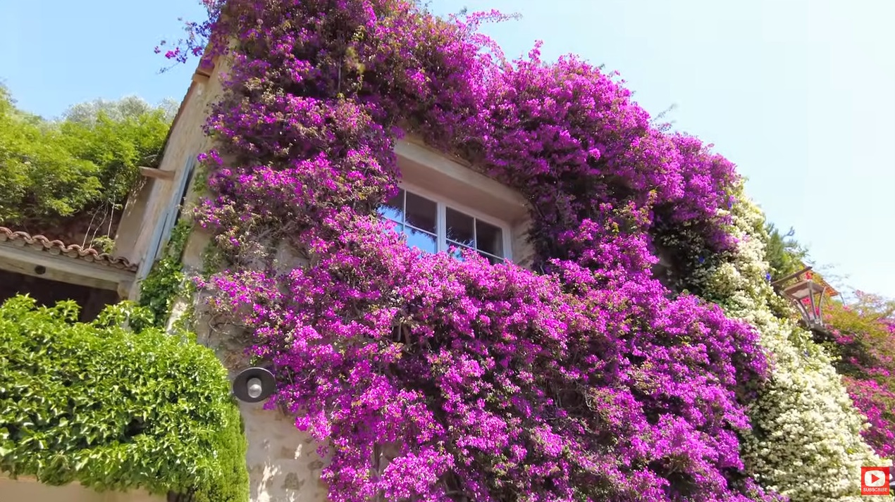 꽃이 만발한 프랑스의 아름다운 마을 | 인스티즈