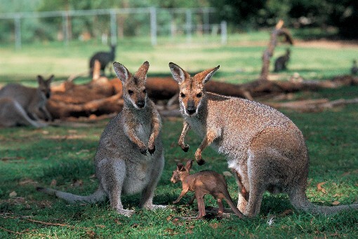 부모님이랑 같이 사는 사람 중에서 생활비는 안 드리지만, 이렇게 사는 사람들이 은근 있음 | 인스티즈