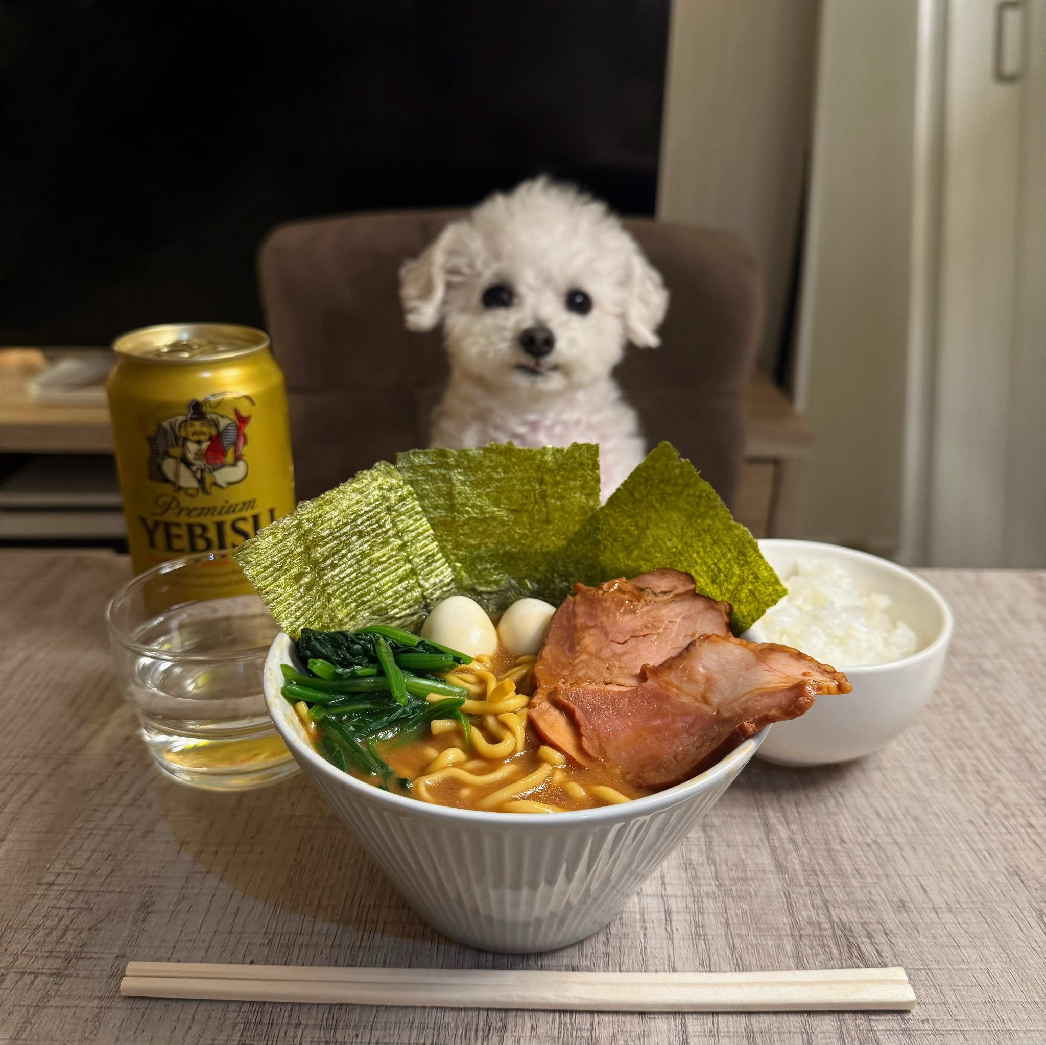 반려견과 함께 밥먹는 사진으로 화제된 트위터 계정.jpg | 인스티즈