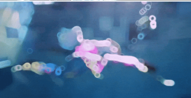 프리다이빙 배우고 넘어간다는 취미 머메이드 다이빙 | 인스티즈