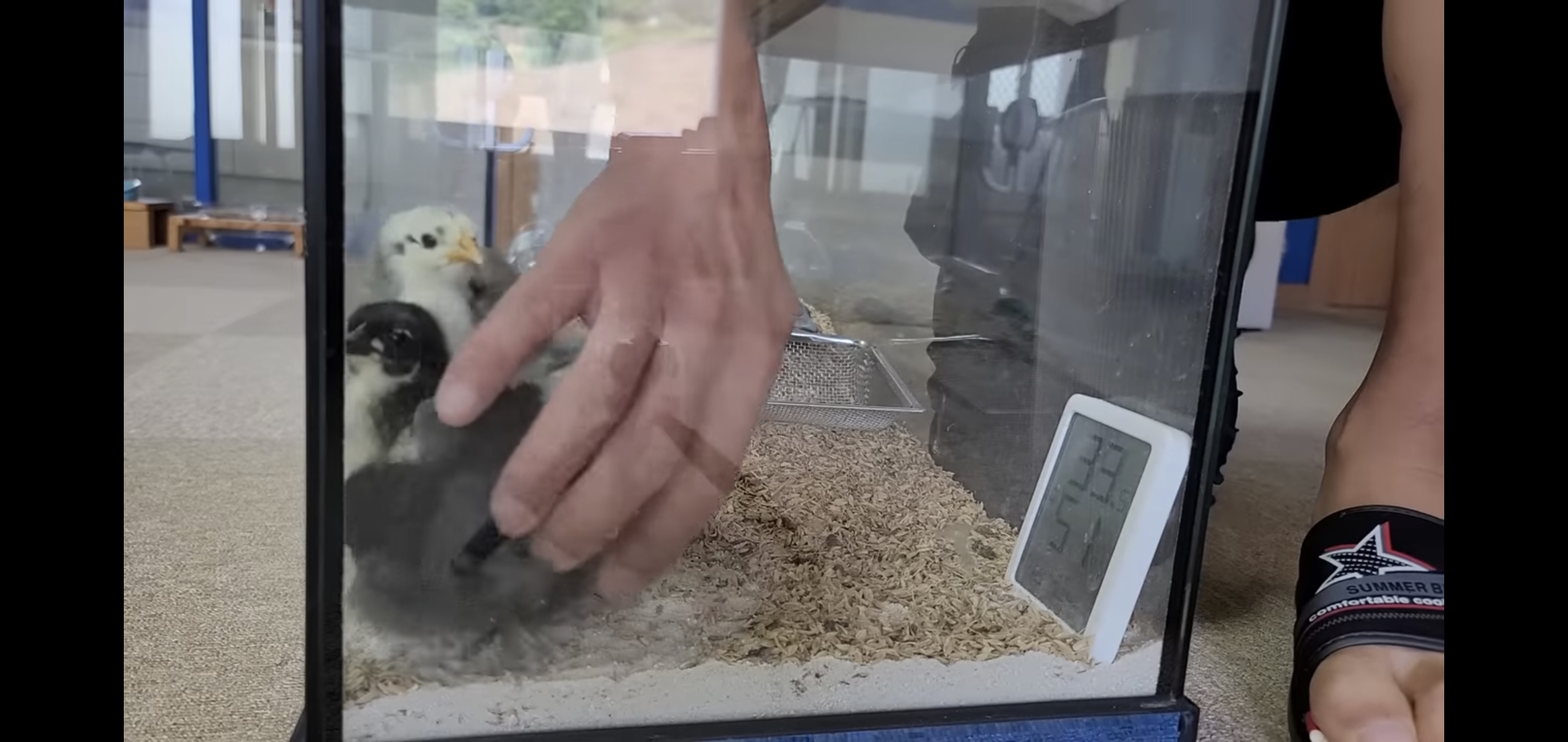 오늘자 폭력적이고 불쌍한 영상 올린 유튜버 매탈남.jpg | 인스티즈