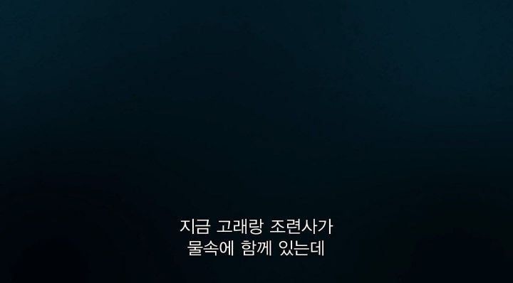 어느날 소방서에 고래가 조련사를 잡아 먹었다는 신고가 들어왔다 .jpg (스압주의) | 인스티즈