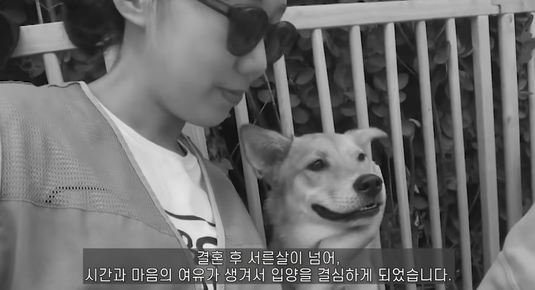 유기견 입양전후 변화. 겁많은 강아지의 100일간 브이로그 | 인스티즈