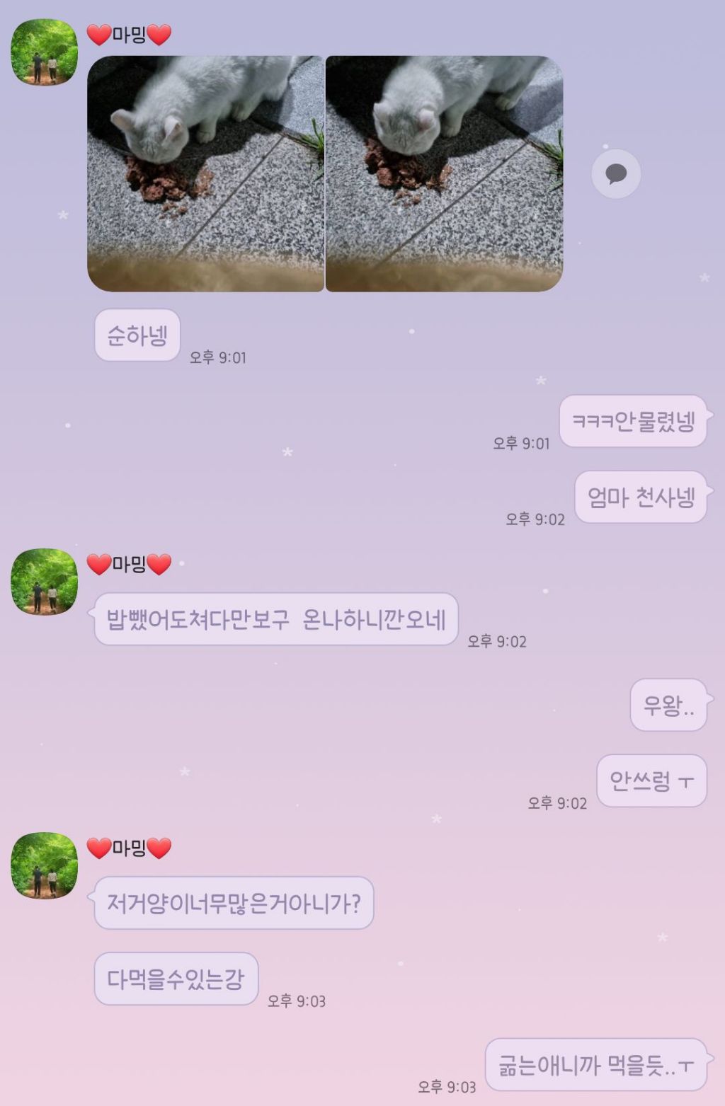 울 엄마 고양이 안좋아하는데 방금 넘 귀여운일 있었어ㅋㅋㅋㅋㅋㅋ | 인스티즈