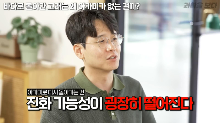 바다로 돌아간 고래는 왜 아가미를 만들지 못했는가 | 인스티즈