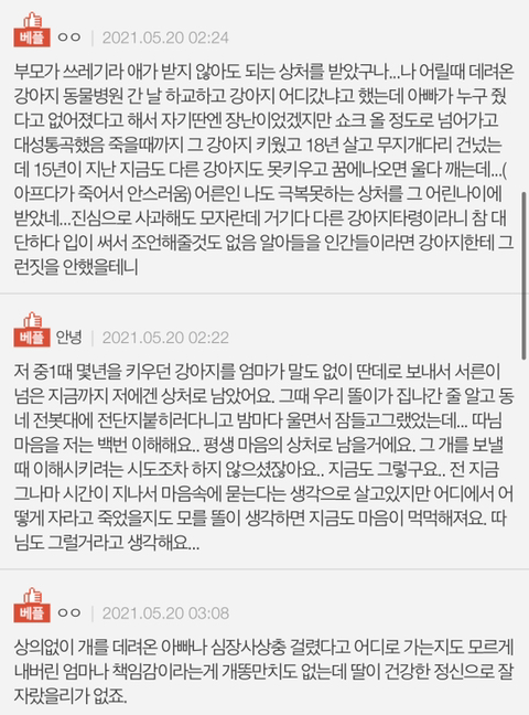 딸이 강아지 때문에 자살시도를 했는데요 | 인스티즈