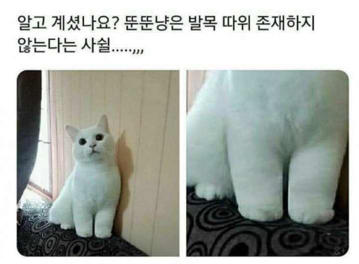 재밌고 귀여운 고전 트위터짤 모음집.jpg | 인스티즈