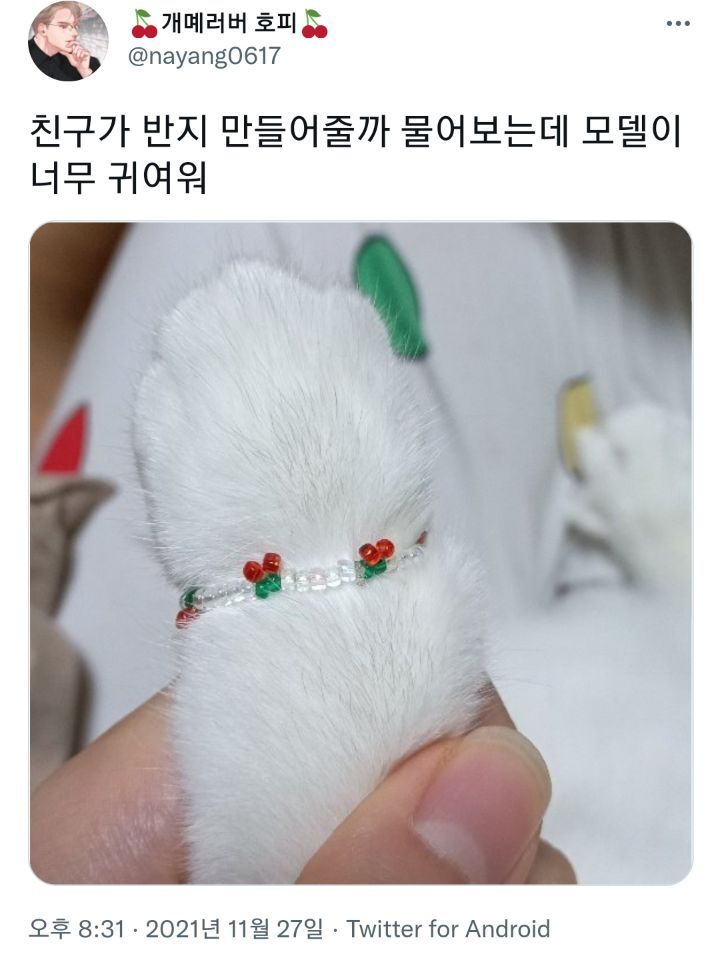 친구가 반지 만들어줄까 물어보는데 모델이 너무 귀여워 | 인스티즈