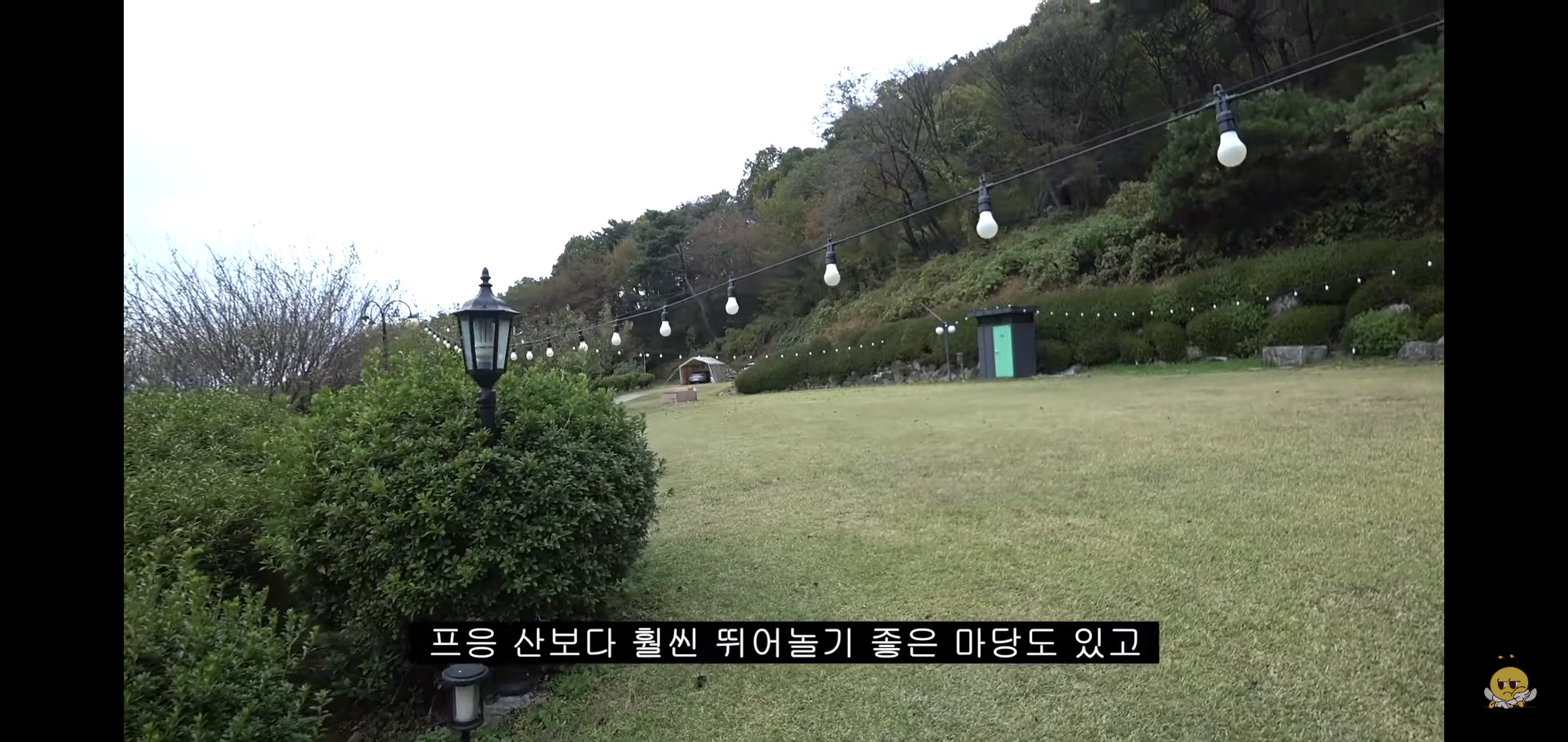 갑자기 유튜버 집에 들어온 떠돌이개가 알고보니 부잣집 도련님이었음.jpg | 인스티즈