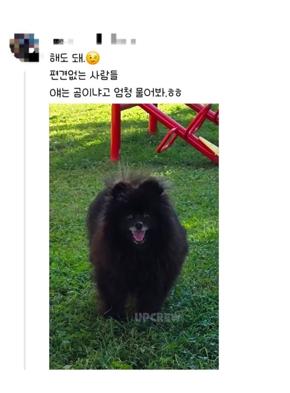 편견없는 대한민국 모음 | 인스티즈