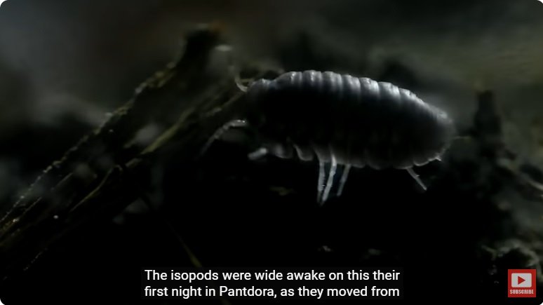 거대한 수조에 열대우림 환경을 조성해놓으면 생기는 일 - 2 | 인스티즈