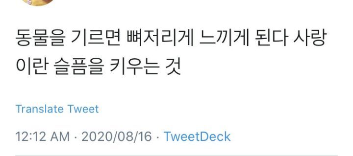 사랑이라고 생각하는 짤 올려보는 달글 | 인스티즈