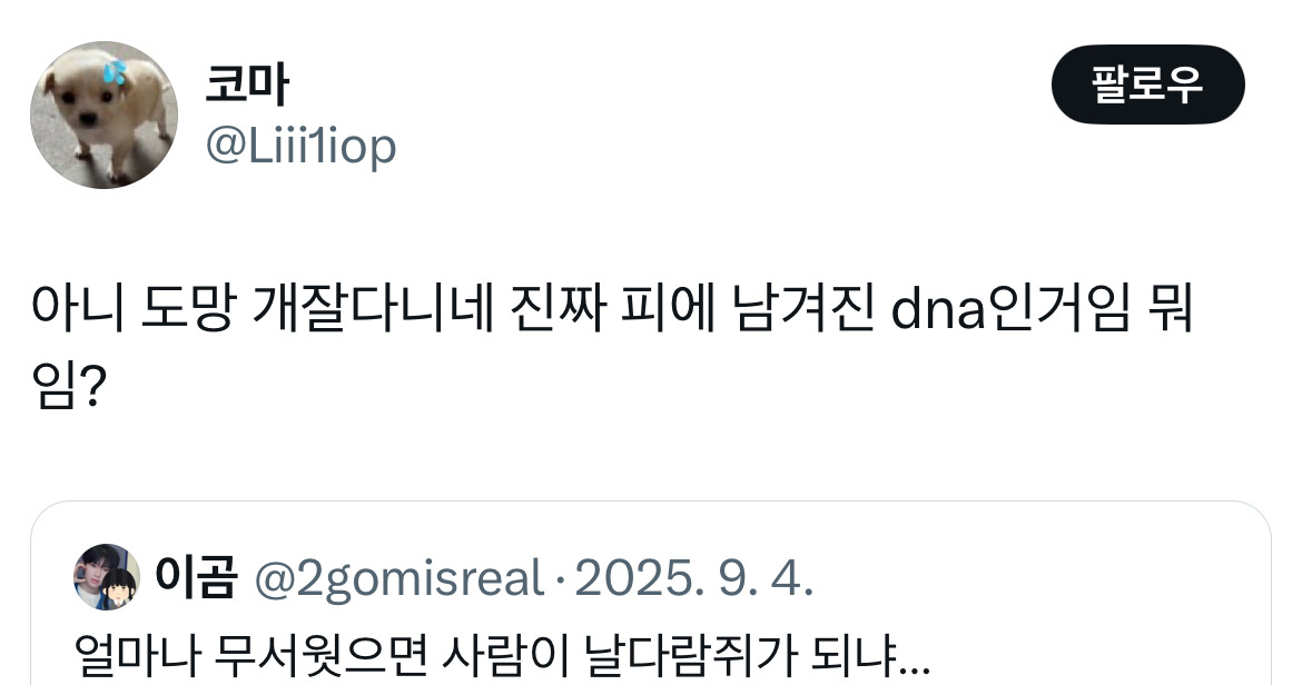 보플2 안중근 후손 이첸 억빠 트위터 모음.twt | 인스티즈