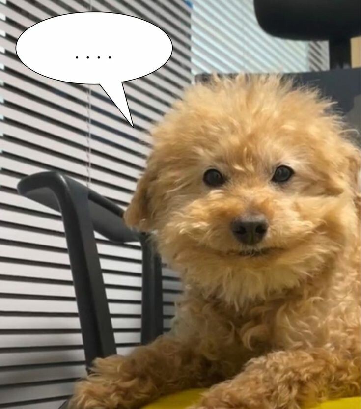 부모님 밥상머리 교육이 안돼서 힘든 달글 | 인스티즈