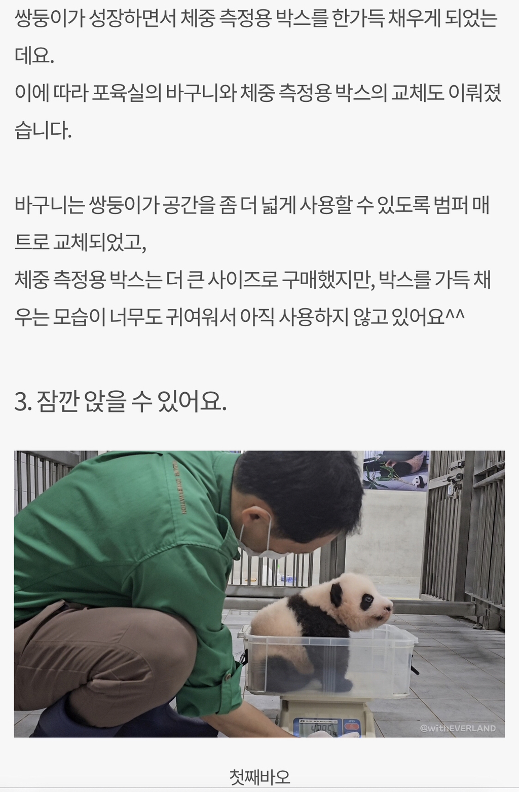 돼지만판다 이미지