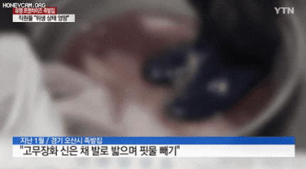 족발나라 이미지