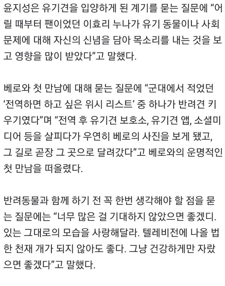 유기견 입양에 대한 윤지성 인스타스토리 | 인스티즈