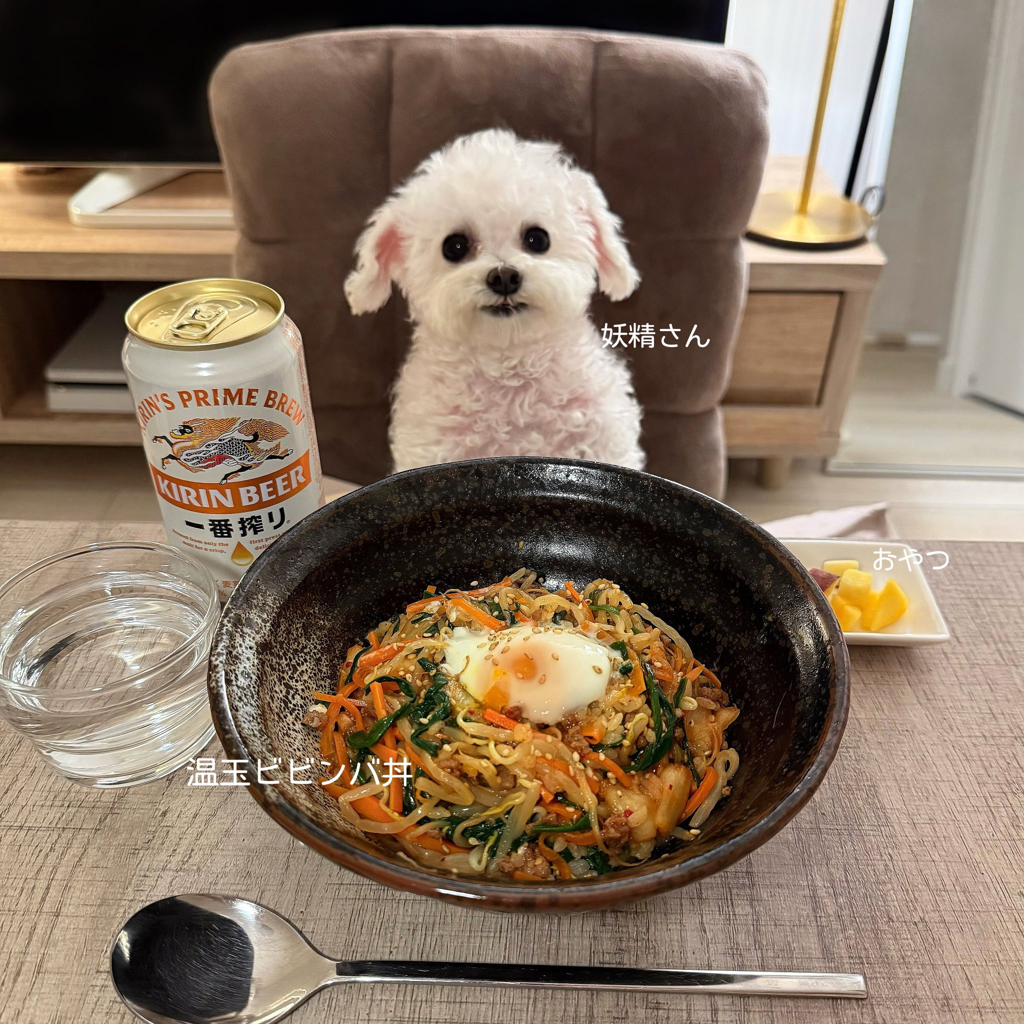 반려견과 함께 밥먹는 사진으로 화제된 트위터 계정.jpg | 인스티즈